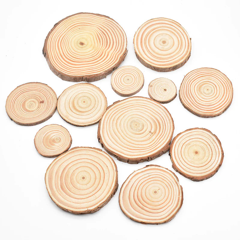 50pcs Round Wooden Discs For Crafts, 10cm Diameter Wooden Discs With